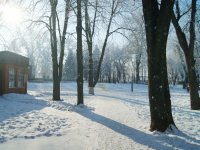 Сучасний  Бориспіль