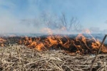 Бориспільщина в огні: за тиждень трапилась 21 пожежа