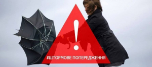 Синоптики попереджають про сильний вітер