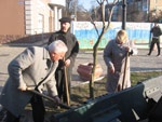 На Алеї мистецтв висадили дерева