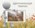 Інформація для населення щодо ідентифікації та реєстрації тварин
