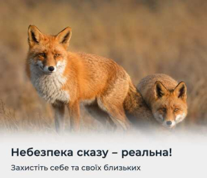 Увага! Карантинні обмеження у зв’язку з виявленням випадку сказу у с. Дударків Пристоличної сільської територіальної громади