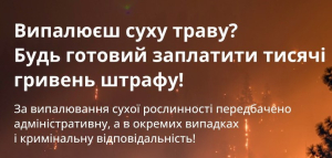 Не паліть суху траву та листя — це небезпечно для здоров'я та карається законом