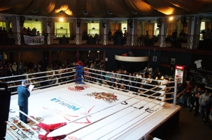Відбувся фінал Чемпіонат України 2016 року зі змішаних єдиноборств (ММА)