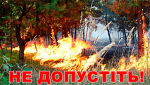 Пожежі, пов’язані з випалюванням сухої трави, інших рослинних рештків стають справжнім лихом