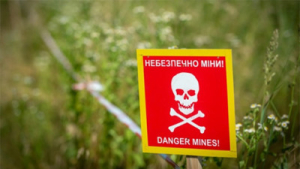Компенсація витрат за гуманітарне розмінування земель с/г призначення для фізичних осіб-виробників с/г продукції - інформаційна довідка