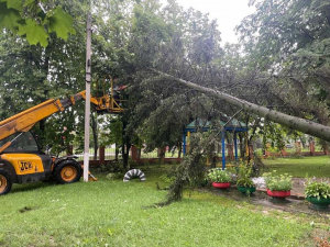 Фахівці ліквідовують наслідки вчорашньої негоди