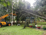 Фахівці ліквідовують наслідки вчорашньої негоди