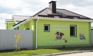 Розпочало роботу комунальне підприємство «Центр стерилізації та адопції тварин»