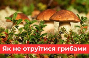 Профілактика отруєнь грибами