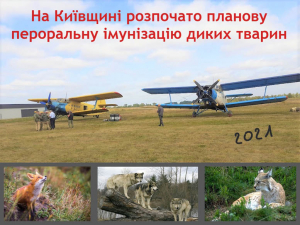 На Київщині з 13 вересня 2021 року розпочато осінню кампанію з пероральної імунізації диких тварин