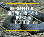 Як уберегтися від укусів змій: правила безпеки